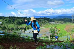 BIB: 
                            <button type="button" onclick="openModal(13382728)" class="btn btn-primary btn-sm float-right btn-popup" data-toggle="modal" data-target=".modal-high-quality">
                        <i class="fas fa-shopping-cart"></i> Add to Cart
                    </button>
                                            <button type="button" onclick="isThisMe(13382728, true)" class="btn btn-success btn-sm float-right btn-popup btn-isme hidden" data-toggle="tooltip" data-placement="bottom" title="นี่คือรูปของคุณใช่ไหม คลิกที่นี่เพื่อเอาเข้าอัลบั้ม">
                        <i class="fas fa-plus"></i> Add to album
                    </button>
                    <button type="button" onclick="isThisMe(13382728, false)" class="btn btn-warning btn-sm float-right btn-popup btn-isnotme hidden">
                        <i class="fas fa-ban"></i> Remove from album
                    </button>